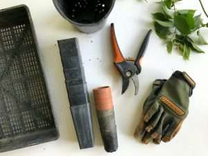 Plant Pruning Tools